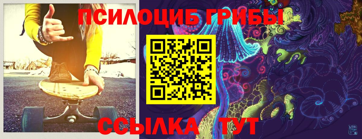 Псилоцибиновые грибы мицелий Городец