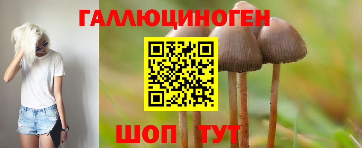Городец  Псилоцибиновые грибы мухоморы  купить наркоту  Псилоцибиновые грибы Magic Shrooms  Вход с VPN 